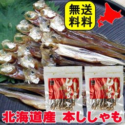 冬ギフト  北海道産 ひもの 本ししゃも 2袋入り 22g×2 国産 つまみ 珍味 おつまみ 全国送料無料 メール便 買いまわり ビール お酒のおとも 酒のつまみ 酒の肴 家飲み おつまみ 2～3人用 干物 シシャモ お取り寄せグルメ