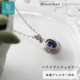 ハワイアンジュエリー ネックレス ステンレス レディース メンズ 男女兼用 キュービックジルコニア カレッジペンダント 金属アレルギー対応 サージカルステンレス316L つけっぱなし  あずきチェーン付き ハワイアン ペンダント スティールシルバーカラー テラグラティア Terra-gratia【gpss1538st】単品