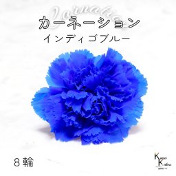 大地農園！ プリザーブドフラワー 「カーネーション インディゴブルー 1箱（8輪）」プリザ ドライフラワー 花材 装飾 ハーバリウム 母の日 おしゃれ かわいい プレゼント 贈り物 オオチノウエン