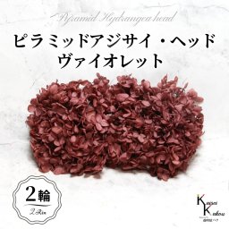 メール便で発送 大地農園！プリザーブドフラワー 「ソフトピラミッドアジサイ ヴァイオレット 2輪分」 プリザ アジサイ 紫陽花 花材 ハーバリウム おしゃれ かわいい プレゼント 贈り物 オオチノウエン ソフトピラミッドアジサイ・ヘッド