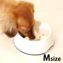 KONOKO コノコ Slowdown Dish ゆっくり食べれる食器 M 7off