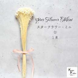 大地農園！「スターフラワー ミニ 白 1束 約12g（約400本）」 ドライフラワー プリザーブドフラワー 花材 プリザ アレンジ 資材 敬老の日