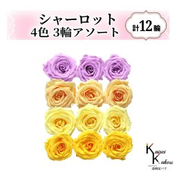 大地農園！プリザーブドフラワー「シャーロット 4色×3輪アソート 計12輪」「スウィートライラック ジュリアオレンジ モーニングイエロー ミモザイエロー」プリザ 花材 ハーバリウム おしゃれ ピンク バラ かわいい プレゼント 贈り物 オオチノウエン