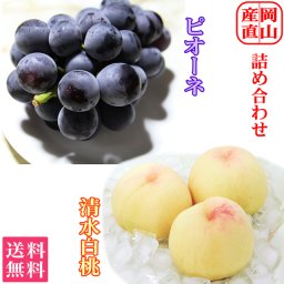 お中元 ピオーネ 清水白桃 詰め合わせ 送料無料 お取り寄せ グルメ 岡山県産 ぶどう 葡萄 ブドウ 白桃 もも 桃 果物 くだもの フルーツ ギフト プレゼント 贈答 産直 御中元 岡山 ふるさと 産直 進物 手土産 贈りもの おくり物 土産 御礼 お供え 御供 御祝 内祝 誕生日 出産