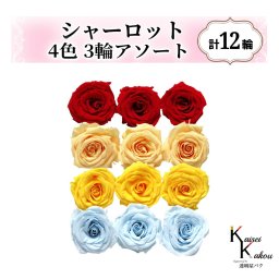 大地農園！プリザーブドフラワー「シャーロット 4色×3輪アソート 計12輪」「クイーンレッド ジュリアオレンジ ミモザイエロー ベビーブルー」プリザ 花材 ハーバリウム おしゃれ ピンク バラ かわいい プレゼント 贈り物 オオチノウエン