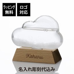 【ラッピング無料】【ロゴ対応】【名入れ代込み】ストームグラス クラウド 名前 名入れ 彫刻 刻印 名入れギフト プレゼント 誕生日 記念日 お祝い 引越祝い 結婚祝い クリスマス 気象予報計 天気予報 天気 幻想的 シンプル 結晶 おしゃれ 置物 インテリア 雑貨 ノベルティ