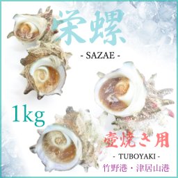つぼ焼き 用 味付け サザエ 1kg 約8～13個 温めるだけ 山陰 兵庫県産 地元旅館 特製ダシ 冷凍【送料無料】[TKI] さざえ 栄螺 壺焼き つぼやき バーベキュー BBQ 国産 新鮮 ボイル 茹で ゆで 水揚げ後に即加工 竹野港 津居山港