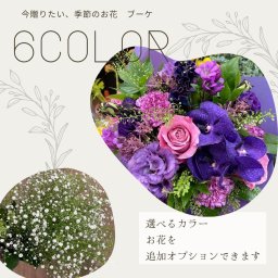 【季節のブーケ】季節の花束・お花・プレゼント・お祝い・誕生日・記念日・お誕生日・母の日・敬老の日・七五三・ご卒業祝・入学祝・就職祝・還暦祝い・古希祝・喜寿祝・米寿記念・バレンタインデー・ホワイトデー・オーダーメイド・女性・プロポーズ・退職・母親・祖母・敬老の日・家族・感謝・お礼・お洒落・バラ・ユリ・かすみ草・カーネーション・カサブランカ・ガーベラ・かわいい
