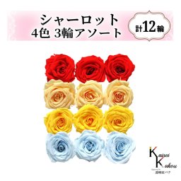 大地農園！プリザーブドフラワー「シャーロット 4色×3輪アソート 計12輪」「レッド ジュリアオレンジ ミモザイエロー ベビーブルー」プリザ 花材 ハーバリウム おしゃれ ピンク バラ かわいい プレゼント 贈り物 オオチノウエン