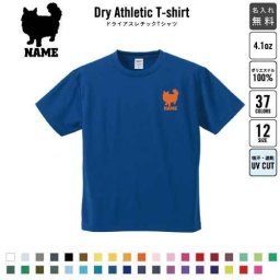 ラガマフィン  名入れドライTシャツ お名前入り 練習着 レディース メンズ ウェア トップス 運動着 スポーツウェア ジョギング 吸汗速乾 チームTシャツ クラスTシャツ UVカット ピクトグラム 猫　ネコ　ねこ　キャット　ペット