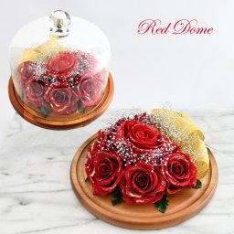 来年10周年記念【レッド・ドーム】真紅の超大輪薔薇プリザーブドフラワー ゴージャス サプライズ 結婚祝い 記念日 プレゼント ギフト