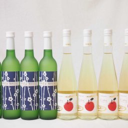 国産フルーツ甘口ワイン8本セット 京都青谷梅 丹波りんごワイン (京都府) 500ml×8本