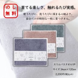 のし・包装紙ラッピング無料 驚くほど軽い 日本製 泉州スリムバスタオル1枚 育てるタオル ギフト お歳暮 お年賀 出産祝い 結婚祝い 内祝い 快気祝い 香典返し ご挨拶 御礼 暑中見舞い お返し ふわふわ 吸水 贈り物に最適