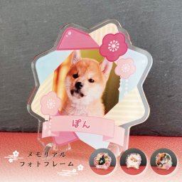 写真入り ペットフレーム 和風シリーズ｜選べる4種 通常サイズ 犬 猫 愛犬 愛猫 ペット メモリアルグッズ 写真 かわいい オーダーメイド オリジナル 遺影 仏具 位牌 ペット供養 記念 記念品 文字入り フォト 思い出 手元供養 供養 鳥 うさぎ 金魚 カナリア トイプードル チワワ ハムスター 写真立て アルバム ペットロス 名入れ ペットグッズ プレゼント ギフト 贈り物