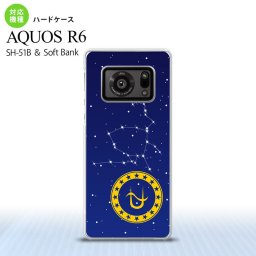 SH-51B AQUOS R6 AQUOS R6 スマホケース ハードケース 星座 ヘビ遣い座 メンズ レディース nk-r6-849