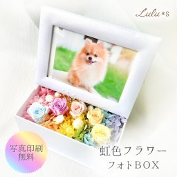 【ペットのメモリアルギフト】 虹の彼方 フォトBOX 虹色 ローズ プリザーブドフラワー 写真立て ペット 供養 お供え お悔やみ 贈り物 犬 猫 うさぎ ルルズ Lulu＊s 0735