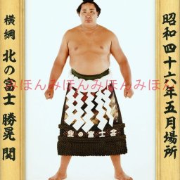 北の富士勝晃関　優勝ミニ額 大相撲ミニ額 大相撲優勝額　昭和４６年５月場所 全勝 横綱 北の富士勝晃関（６回目の優勝） ※受注生産品のため、ご注文後はいかなる理由でも返品、返金はできません