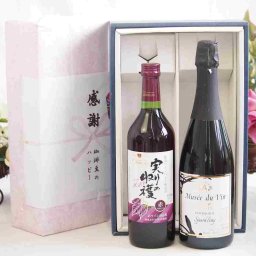 実りの秋の贈り物 感謝の贈り物ボックス 国産やや甘口赤ワインと国産ワインセット(MdV オアシス ブラッククイーン白スパークリングワイン辛口(長野県)750mlヴィンテージ実りの収穫 赤ワイン720ml