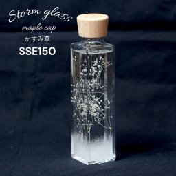 天気が分かる！「カスミ草入りストームグラス メープルキャップ SSE150」 天気管 天気 クリスマス ツリー フィッツロイ ミニ ボトル ウェザーグラス 天気 気象計グッズ インテリア インテリア小物 置物 瓶 小瓶 ガラス snowflake snowwhite  おもしろ雑貨 プレゼント 贈り物