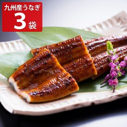鰻楽 九州産 うなぎ蒲焼 切身 3切 うなぎの蒲焼き 冷凍 鰻 国産 おつまみ おかず 温めるだけ【北海道・沖縄県・離島 配送不可】