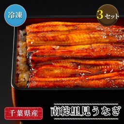 国産 南総里見うなぎ うなぎの蒲焼き 3尾 セット 国産 日本産 養殖 鰻 ウナギ 蒲焼き カバ焼き かば焼き 冷凍 千葉県 鋸南町 母の日ギフト 贈り物 父の日【送料無料(一部地域除く)】