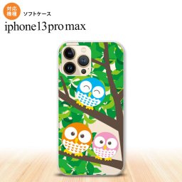 iPhone13ProMax iPhone13 Pro Max ケース ソフトケース フクロウ B 緑 iPhone13 プロ マックス 6.7インチ おしゃれ かわいい メンズ レディース キッズ デザインたくさん nk-i13pm-tp1093