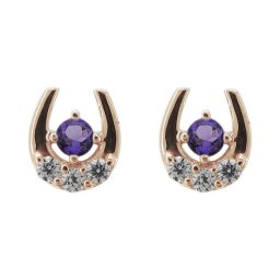ホースシューピアス アメジスト ピアス レディース 10金 シンプル アメジストピアス 2月誕生石 女性用 かわいい おしゃれ スタッドピアス 自分用