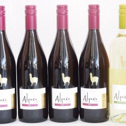 チリ産ワインアルパカ5本セット(赤シラー(フルボディ) 白ソーヴィニヨン・ブラン(辛口)) 750ml×5本