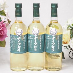 3本セット(長野県産葡萄 ナイアガラ やや甘口(山梨県)) 720ml×3本