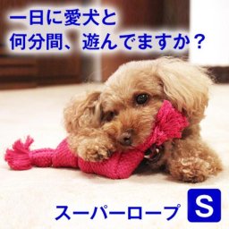 スーパーロープ S  犬 おもちゃ オモチャ 玩具 ロープ 紐 スクィーカー 鳴り笛 小型犬 中型犬 歯磨き ハミガキ はみがき デンタルケア 口臭 対策 歯垢 歯石 噛む トイプードル ダックス チワワ その他犬用品