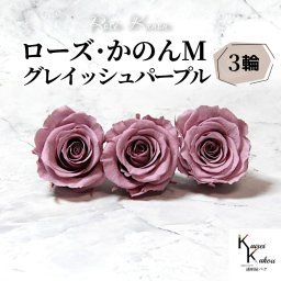 大地農園 「ローズかのんM グレイッシュパープル 3輪」 プリザーブドフラワー バラ プリザ 花材 ハーバリウム おしゃれ かわいい プレゼント 贈り物 オオチノウエン