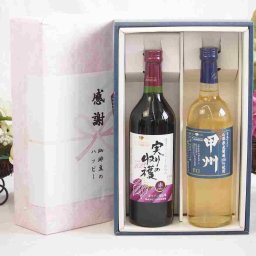 実りの秋の贈り物 感謝の贈り物ボックス 国産やや甘口赤ワインと国産ワインセット(山梨県産葡萄100％使用 甲州 辛口白ワイン 辛口(山梨県)720mlヴィンテージ実りの収穫 赤ワイン720ml
