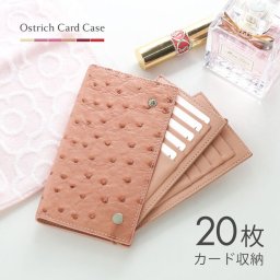 オーストリッチ カードケース 20枚収納 革小物 レディース キャッシュレス 本革 オーストリッチレザー 財布 カードケース 薄型 軽量 女性 プレゼント 春財布 (06000657r) クリスマス 母の日 定年退職 バレンタイン 成人祝い