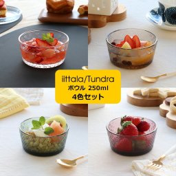 イッタラ ツンドラ ボウル 250ml 4色セット iittala Tundra ギフト 結婚祝い プレゼント 贈り物 食器