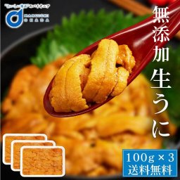 生うに 100g 3パックセット チリ産 無添加 みょうばん不使用 お刺身用 ウニ うに 雲丹 冷凍 お取り寄せグルメ 食品 冷凍生 ウニ丼 刺身 うにパスタ スパゲッティ 軍艦 海鮮丼 寿司 手巻き寿司【冷凍】