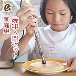 焼印 入門セット 家庭用 送料込 初心者に！100W電熱コテ パワーコントローラー小 ブラシ付 焼き印 オリジナルデザインから選べる 鋳鉄 お菓子
