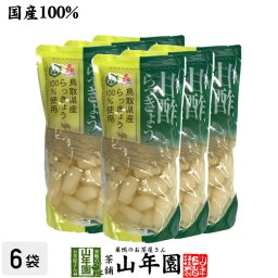 【国産100％】甘酢らっきょう 220g×6袋セット TOTTORI SHALLOTS ふるさと認証食品 とまり本舗 シャキシャキの食感 鳥取県産らっきょう100%使用 健康 ダイエット ギフト プレゼント プチギフト お茶 敬老の日 2026 内祝い