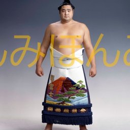 琴富士孝也関　優勝ミニ額 大相撲ミニ額 大相撲優勝額　平成３年７月場所 優勝 前頭 琴富士孝也関 ※受注生産品のため、ご注文後はいかなる理由でも返品、返金はできません