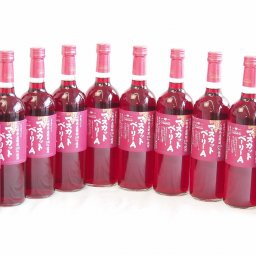 10本セット(山梨県産葡萄100％マスカットベーリーA ライトボディ) 720ml×10本