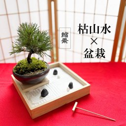 縮景を楽しむ。枯山水 玉砂利 小サイズ + 黒松盆栽セット　bonsai