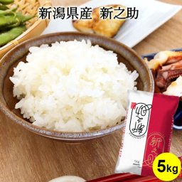 令和7年産 新潟産新之助 5kg お米 5キロ 送料無料(沖縄を除く) しんのすけ 新潟 ブランド米 ギフト 内祝い お返し お祝い 贈答品 贈り物 プレゼント 賞品 景品 お礼 お中元 御中元 敬老 お歳暮 御歳暮