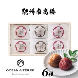 Premium 紀州南高梅 6粒 木箱入り OTVL8 オーシャンテール OCEAN＆TEREE 〈A380〉 出産内祝い 結婚内祝い 新築内祝い 快気祝い お返し 粗品 記念品 香典返し 法事 法要 お礼 引き出物