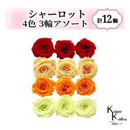 大地農園！プリザーブドフラワー「シャーロット 4色×3輪アソート 計12輪」「クイーンレッド ジュリアオレンジ フルーティオレンジ フレッシュグリーン」プリザ 花材 ハーバリウム おしゃれ ピンク バラ かわいい プレゼント 贈り物 オオチノウエン