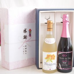 実りの秋の贈り物 感謝の贈り物ボックス プレミアムなナイアガラワインと国産ワインセット MdV オアシス ブラッククイーンピンクロゼスパークリングワイン辛口(長野県)750mlおたる完熟ナイアガラ甘口白ワイン720ml