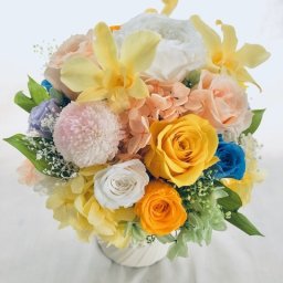 【プリザーブドフラワーアレンジ/薔薇とポンポンマム・デンファレの花畑／フラワーケース付き】