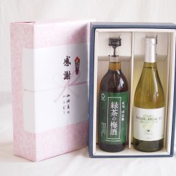 実りの秋の贈り物 感謝の贈り物ボックス 絶妙に融合した緑茶の梅酒と国産ワインセット(シャインマスカット100白ワイン やや甘口(山梨県)750ml和歌山県中野BC緑茶の梅酒12度 720ml