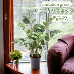 フェイクグリーン ザミフォリア 通販 フェイク グリーン 人工観葉植物 インテリアグリーン イミテーショングリーン インテリアプランツ 人工樹木 ポット 鉢植え アーティフィシャルグリーン 人工植物 おしゃれ リビング 寝室 インテリア雑貨 GLP-1515