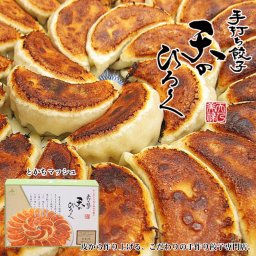 天のびろく 手打ち餃子 とかちマッシュ 12個入 送料無料 パーティー 北海道 お土産 プレゼント ギフト お取り寄せ 自宅 本格的 バレンタイン