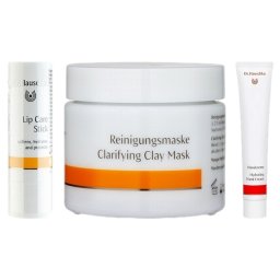 ドクター ハウシュカ リップケアスティック  とクラリファイング クレイマスク 90g とハンドクリーム 50ml のセット    |  Dr.Hauschka  リップケア 美容グッズ コスメ化粧品 誕生日 クリスマス ホワイトデー 結婚記念日 ウエディングギフト 母の日 送別会 バレンタインデー 