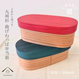 【安心 安全 国産 の まげわっぱ】 弁当箱 曲げわっぱ 【URARA 麗】 日本製 遠足 運動会 かわいい カワイイ おしゃれ 新生活 一人暮らし 社会人 男子 女子 カラフル 500ml lunch 脱プラ エシカル SDGs 大人用弁当箱